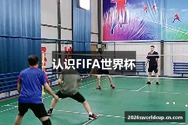 认识FIFA世界杯